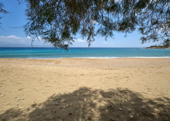 Magoo Отель Логарас