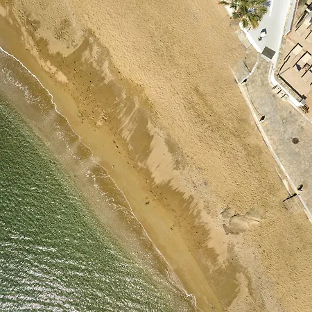 Magoo فندق لوغاراس